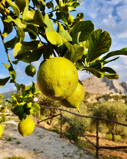 LIMONI